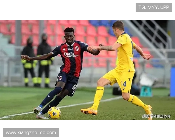 博洛尼亚战术调整后防守稳固，近期战绩走势清晰