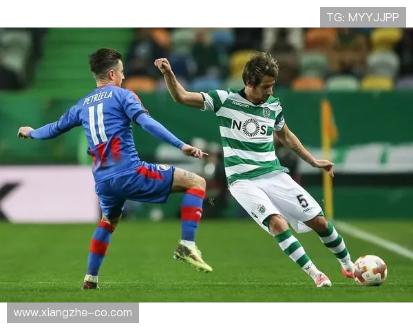 吉马良斯联赛战绩