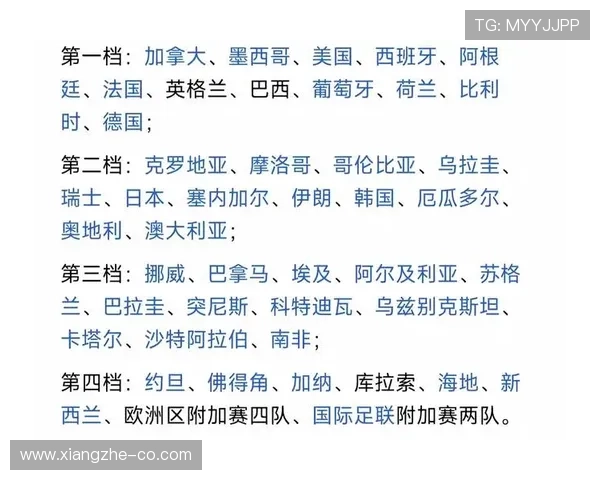 南非媒体解读世界杯A组抽签结果 南非媒体解读世界杯A组抽签结果